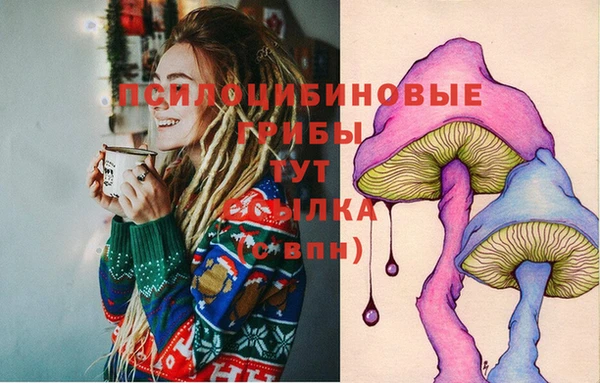 винт Абинск