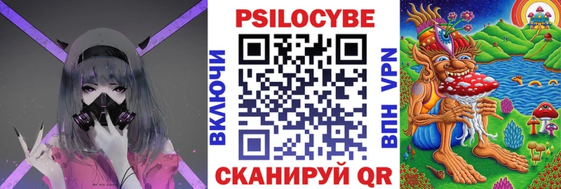 Галлюциногенные грибы Psilocybe  Челябинск 